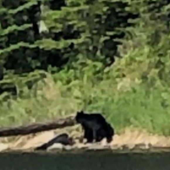 Meet your Posher, Jon - Picture 1 of 1